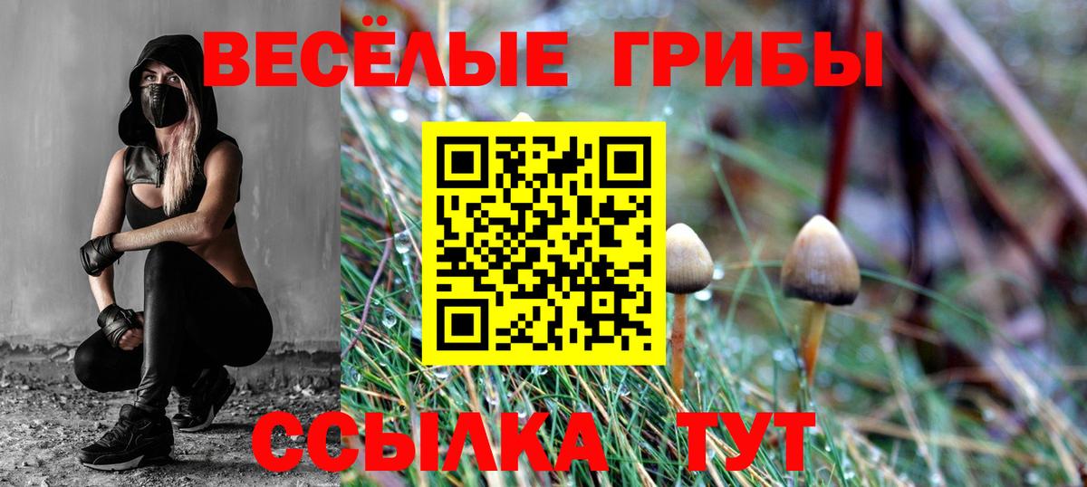 где можно купить   Галлюциногенные грибы Psilocybe  Вход с VPN  Ступино 